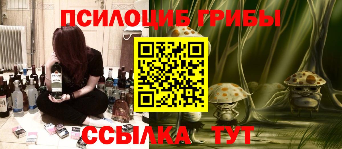Галлюциногенные грибы GOLDEN TEACHER  где купить наркотик  Вологда  Вход с VPN 